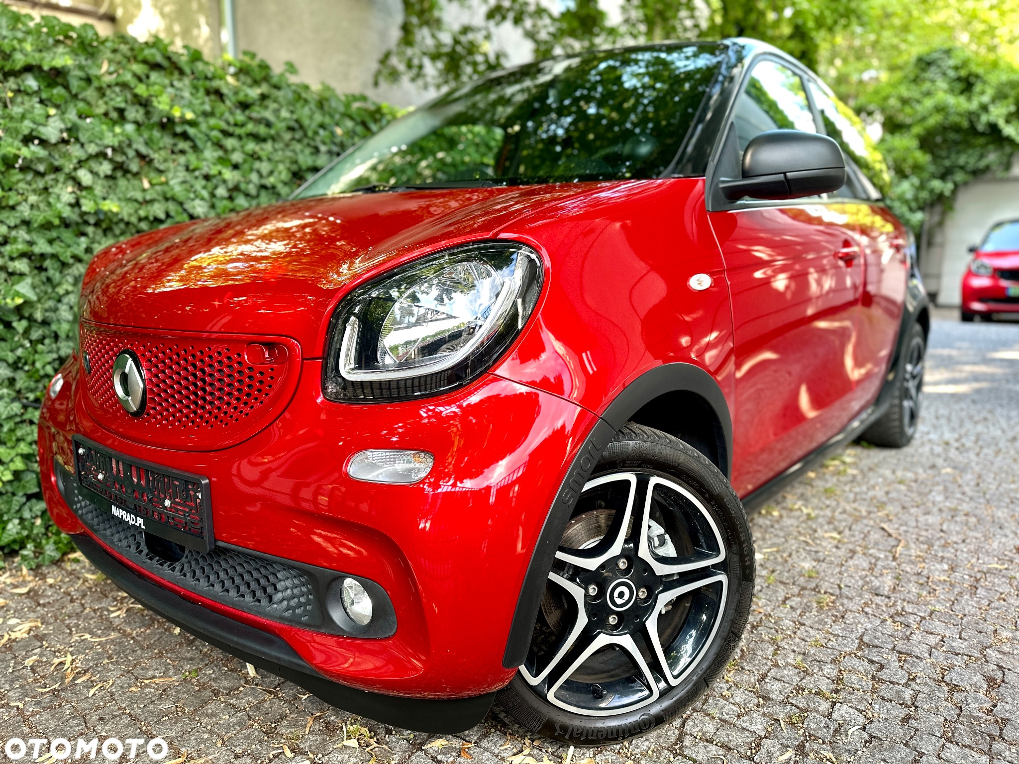 Smart Forfour EQ prime - 2