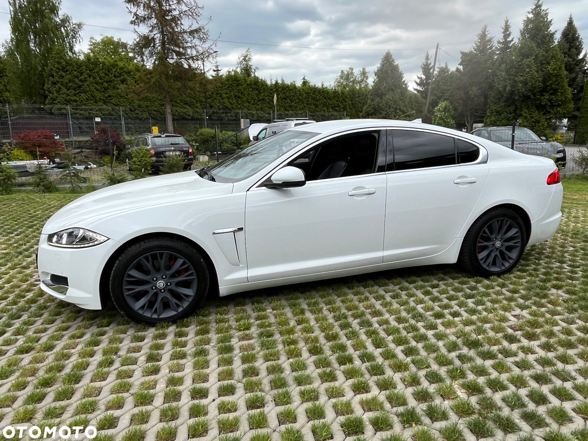 Jaguar XF - 14