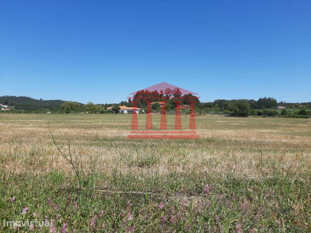 TERRENO AGRÍCOLA COM 29.000 M2 - Grande imagem: 4/21