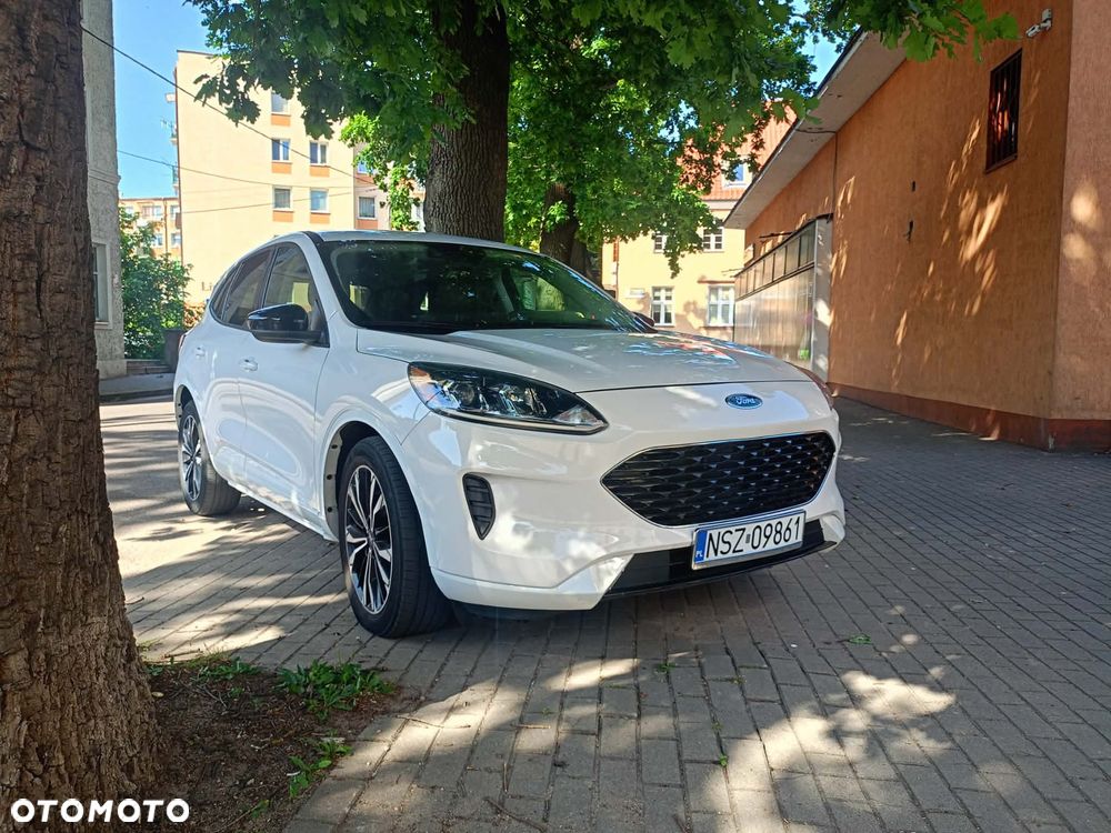 Ford Escape - 1
