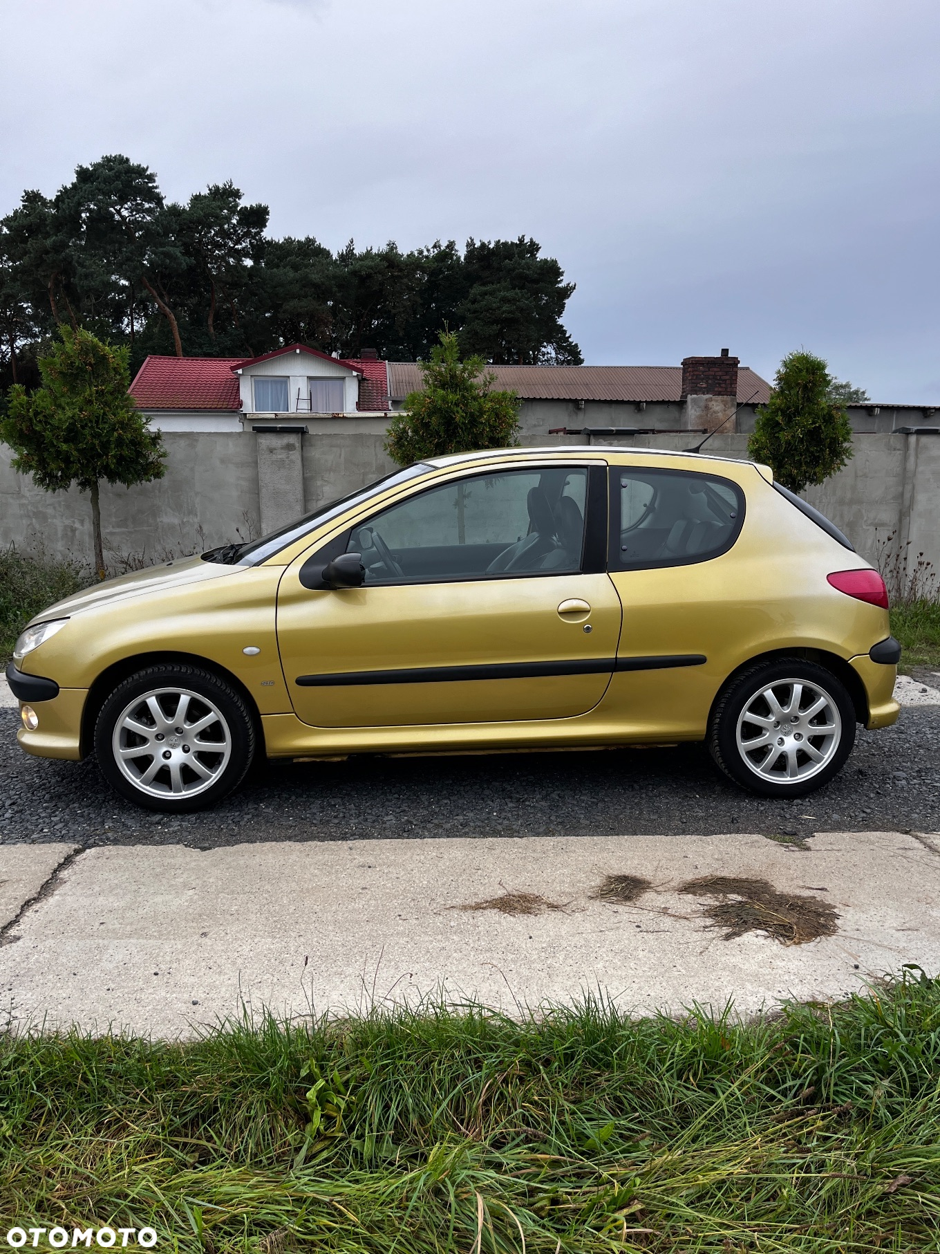 Peugeot 206 2.0 S16 - 7