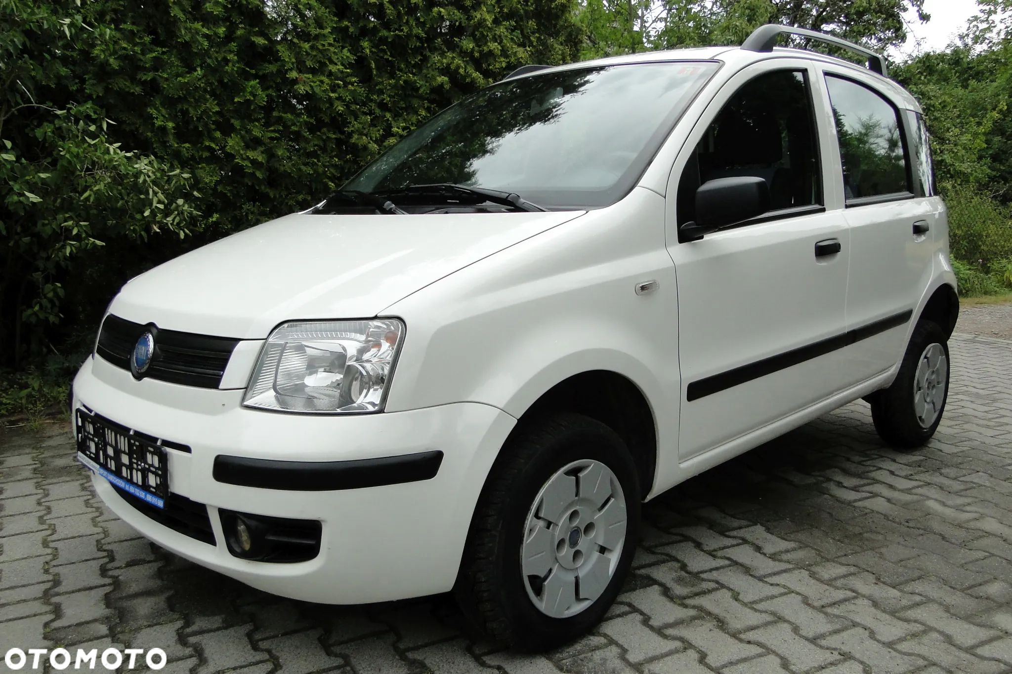 Fiat Panda 1.2 Dynamic Plus - 1