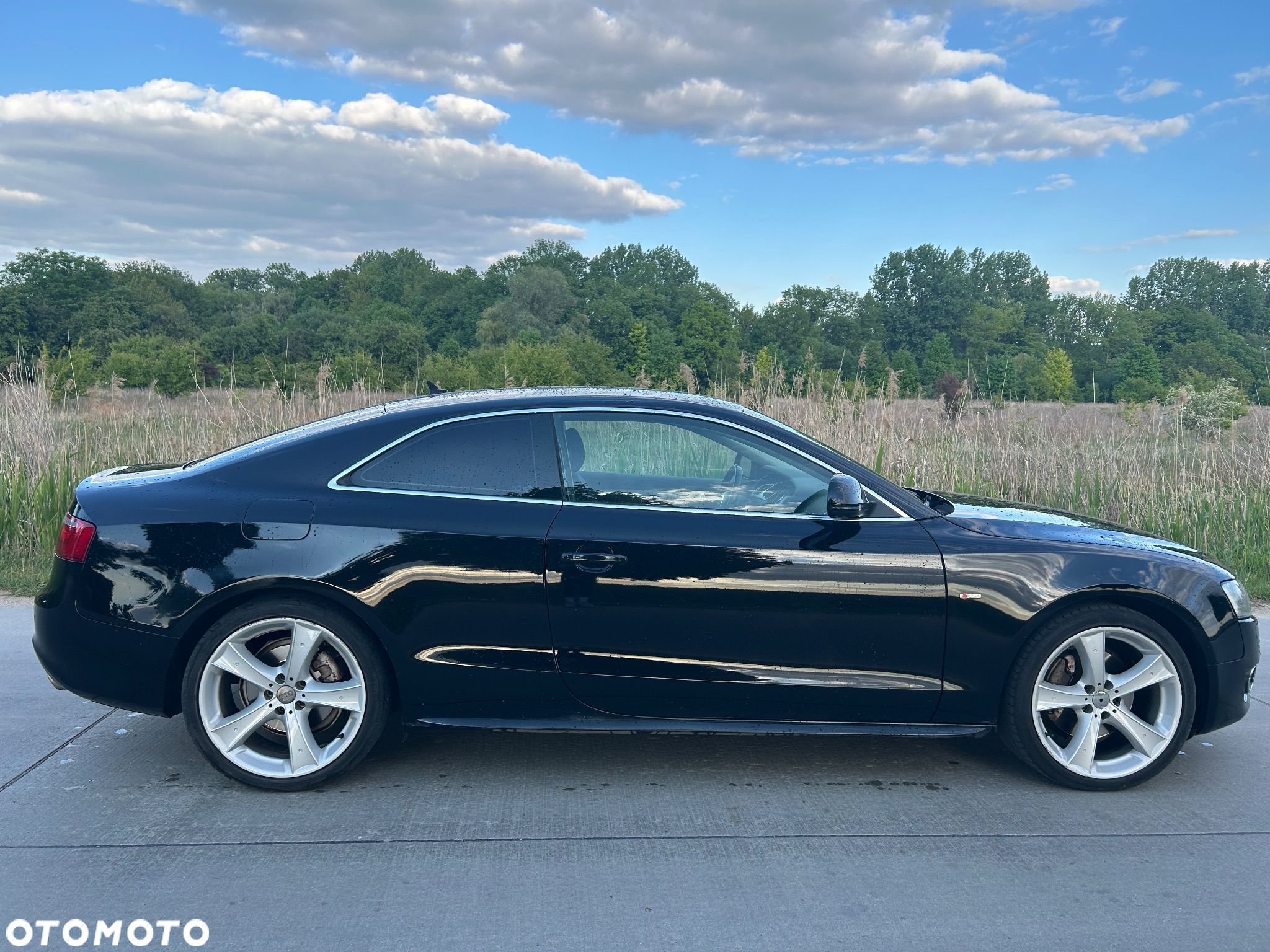 Audi A5 2.7 TDI Multitronic - 1