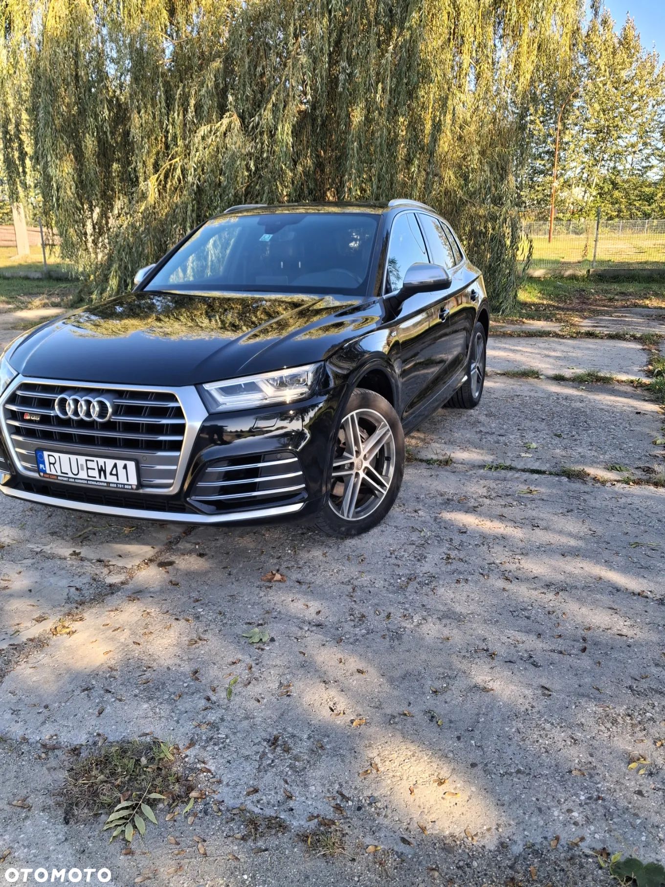 Audi SQ5 3.0 TFSI Quattro Tiptronic - 1