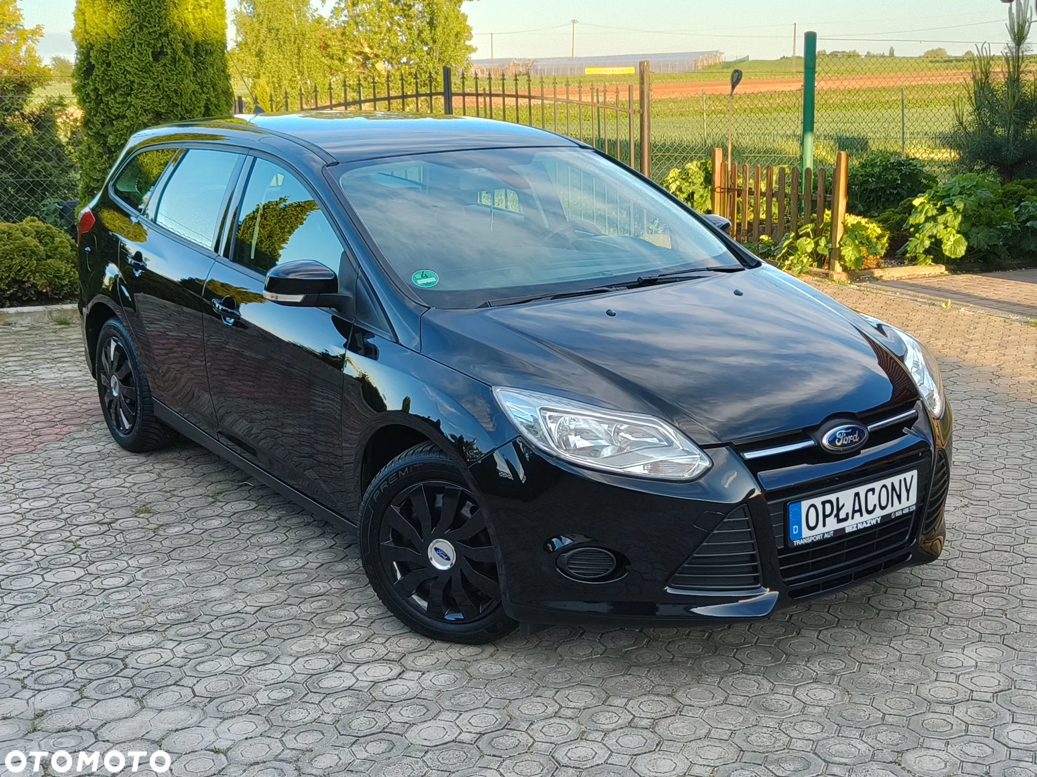 Ford Focus - 5
