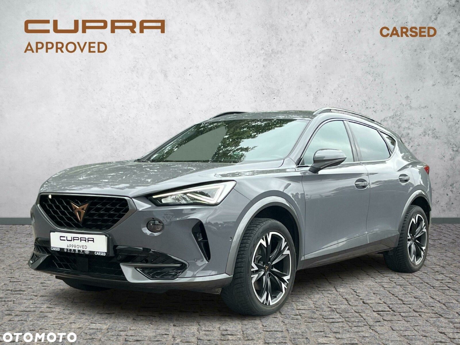 Cupra Formentor 1.5 TSI DSG - 1