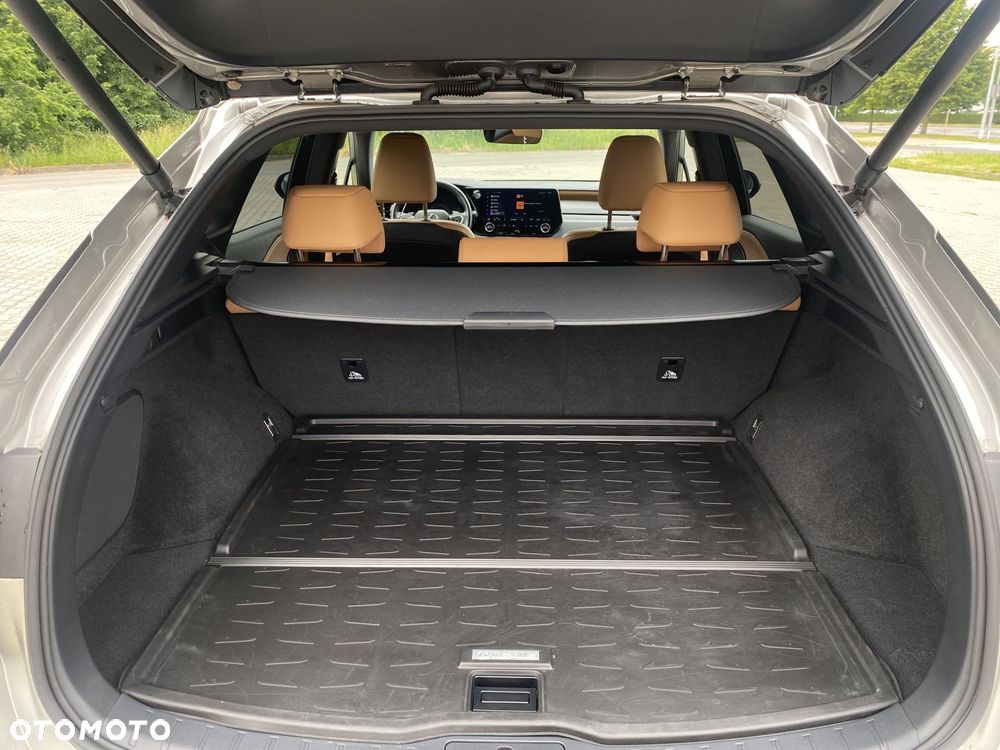 Lexus RX - 16