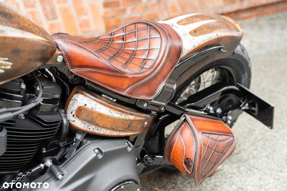 Harley-Davidson Softail - 19
