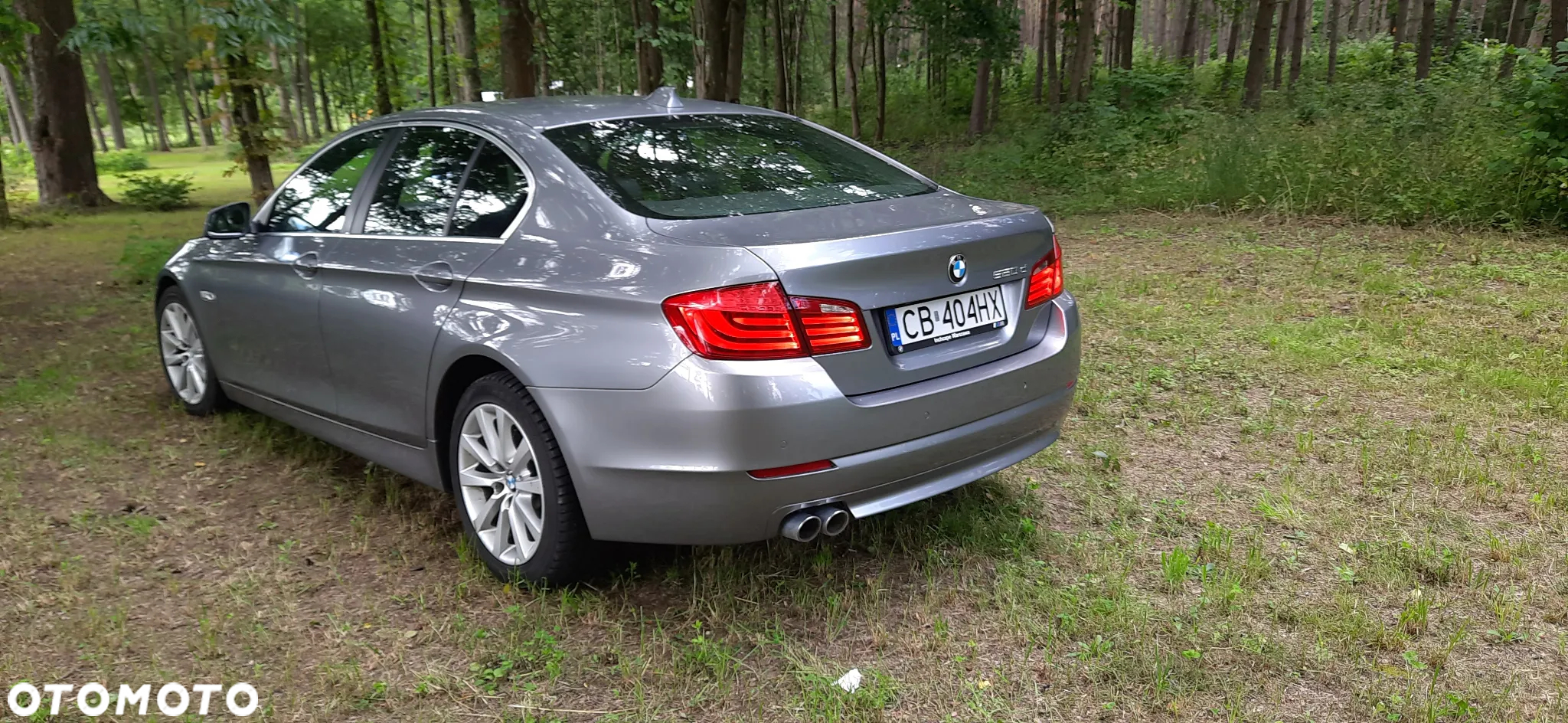 BMW Seria 5 520d - 6