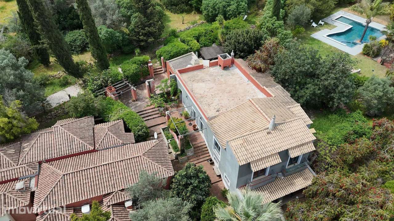 Quinta com Piscina, Moradia Principal T4 e Três Moradias T1 em Olhão - Grande imagem: 3/48