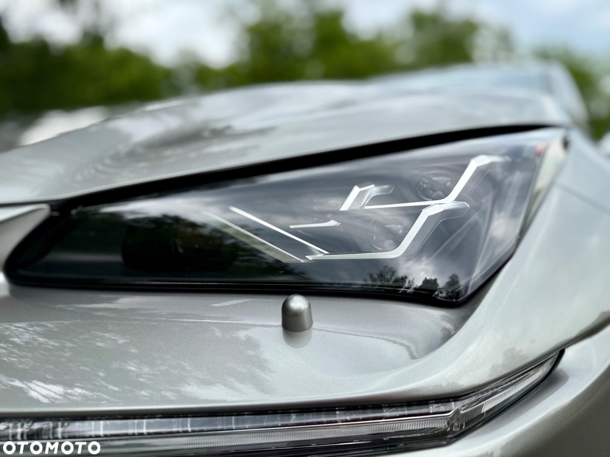Lexus NX 350h F Sport AWD - 8