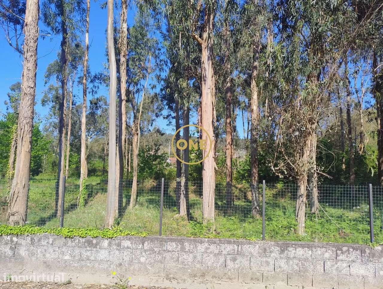 Terreno amplo em Turiz - Vila Verde - Grande imagem: 4/6