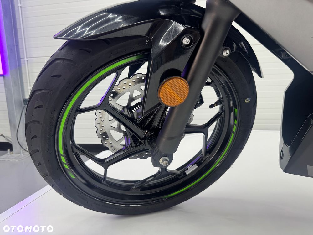 Kawasaki Ninja - 19