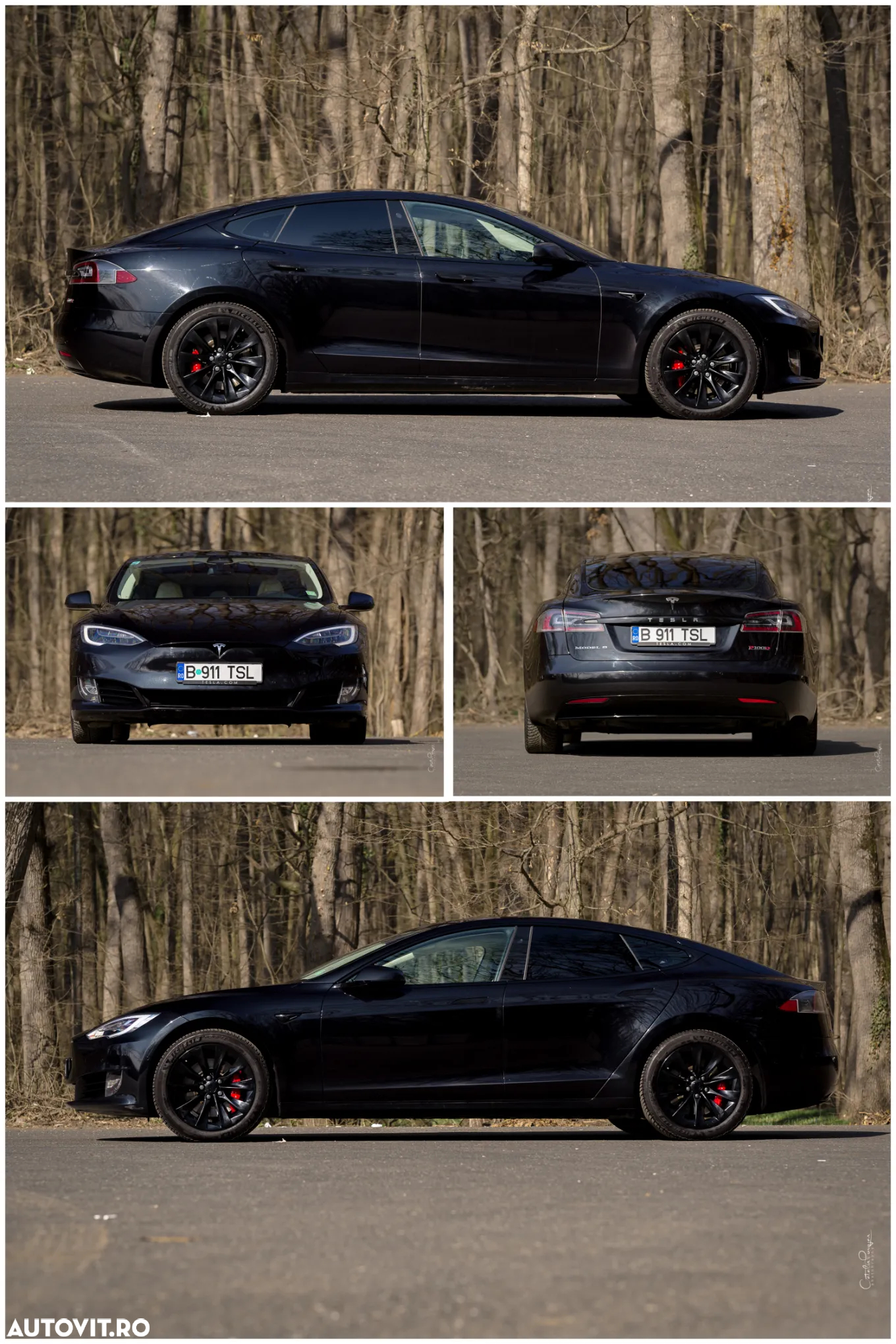 Tesla Model S Performance - 6