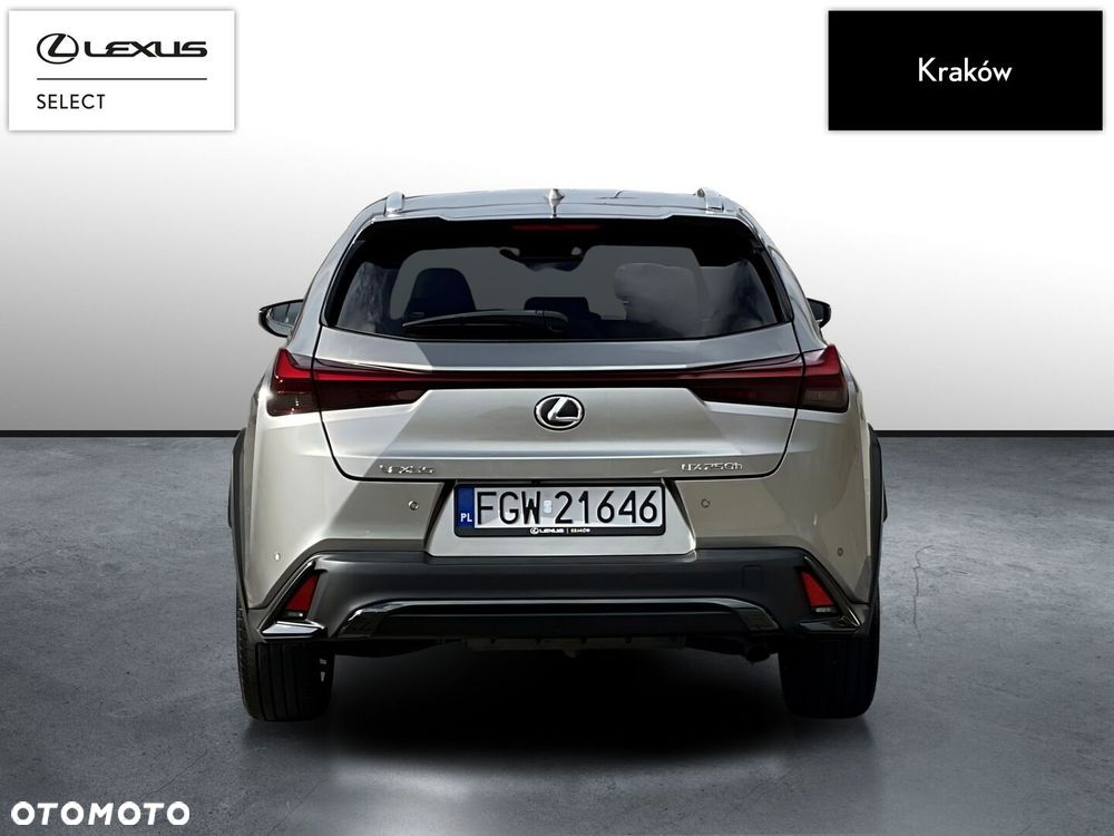 Lexus UX 250h GPF F Sport Design 2WD - 4