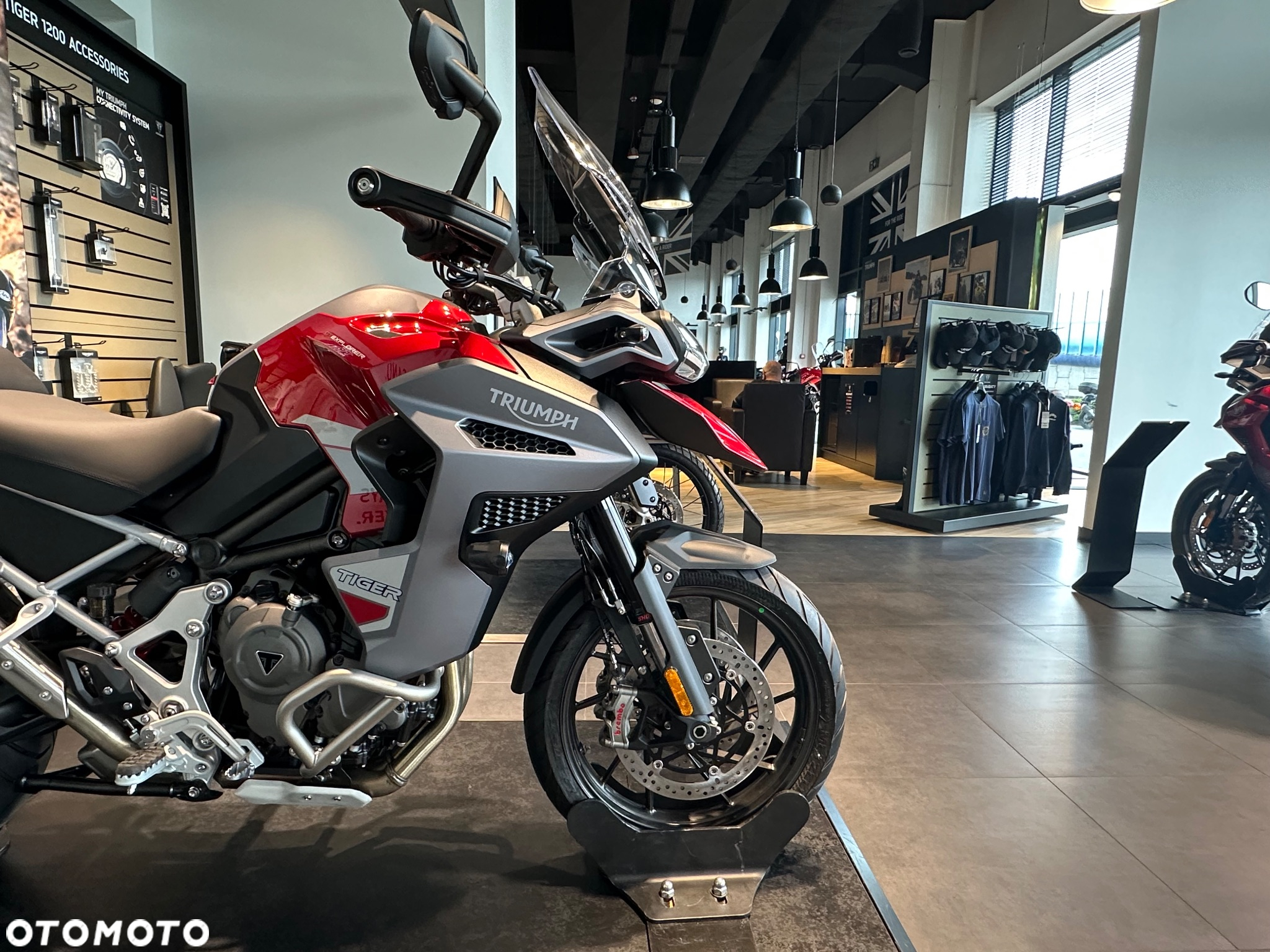 Triumph Tiger - 7