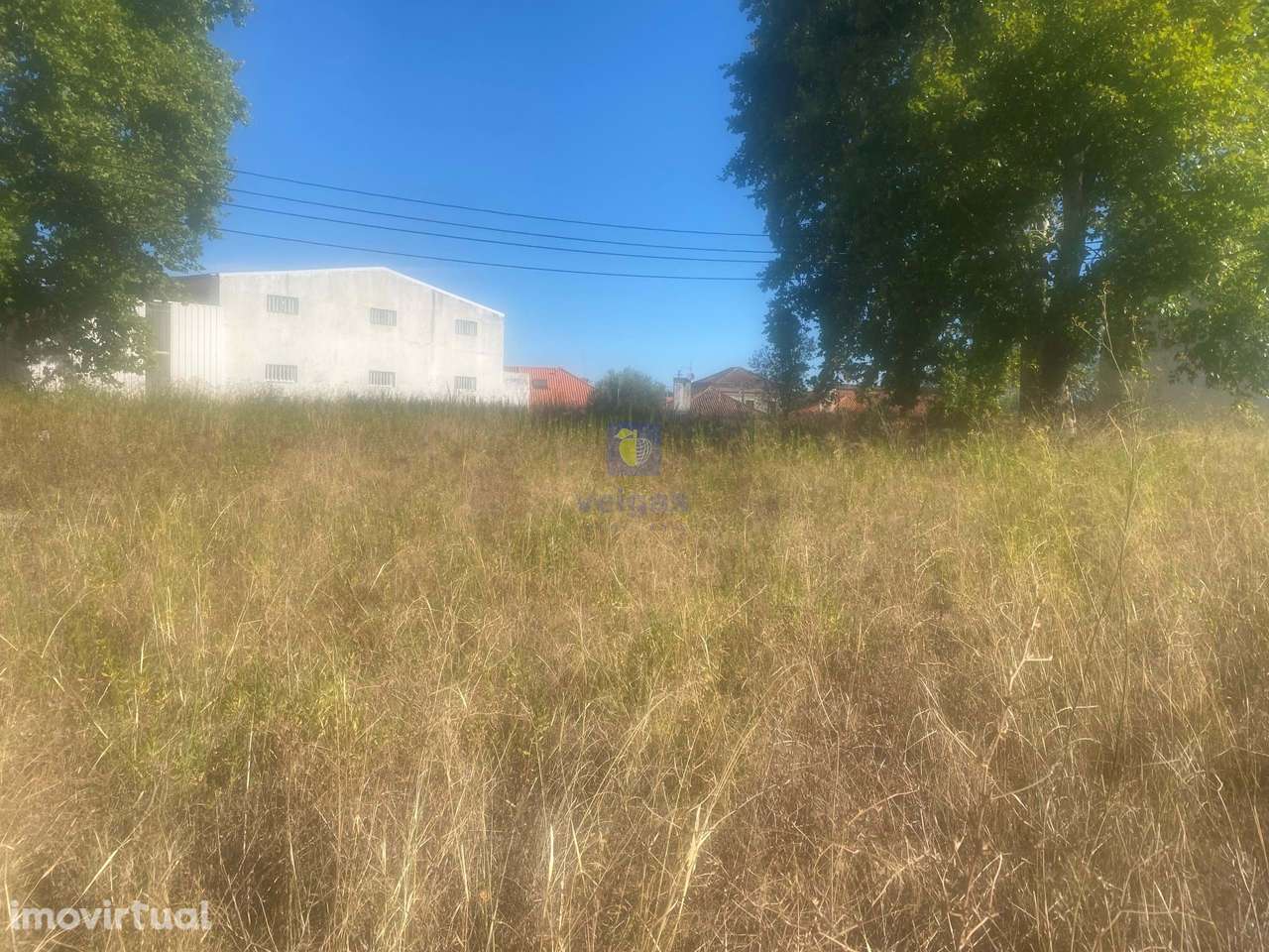 Terreno Alcanena - Grande imagem: 2/27