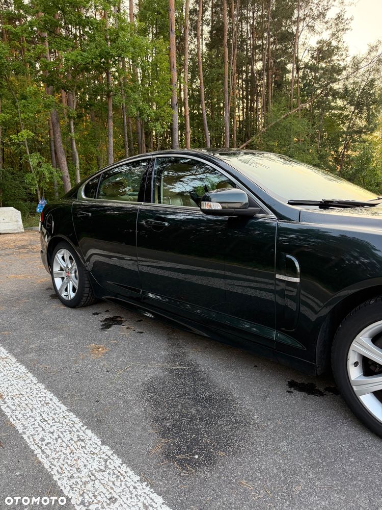 Jaguar XF 3.0 V6 Luxury - 4