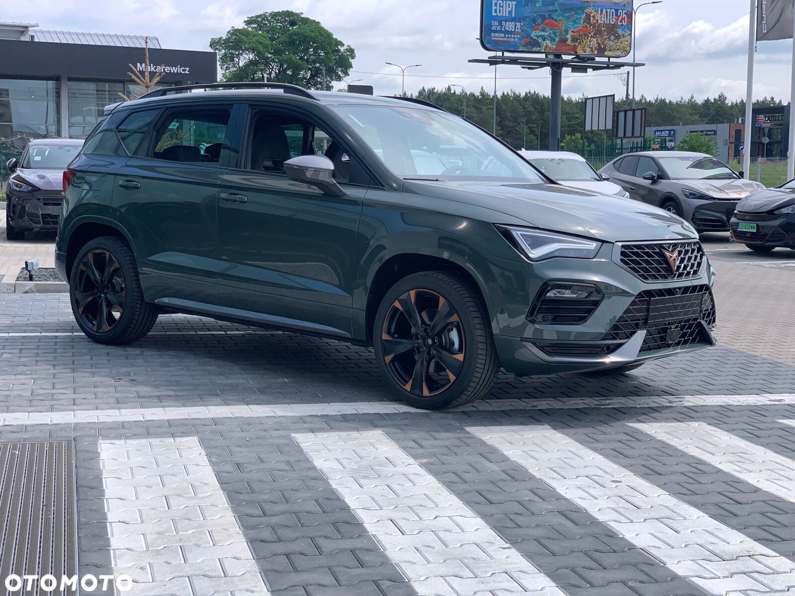Cupra Ateca - 5