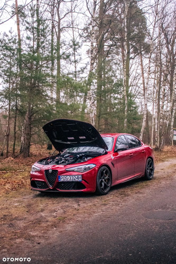 Alfa Romeo Giulia 2.9 V6 Bi-Turbo AT8 Quadrifoglio - 13