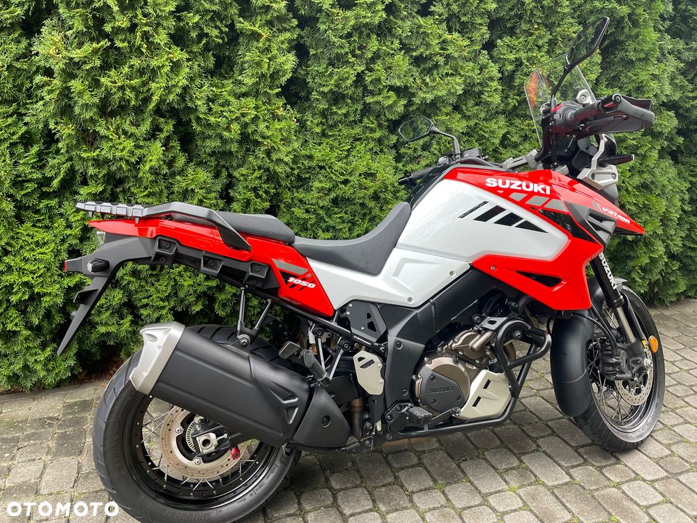 Suzuki DL - 6