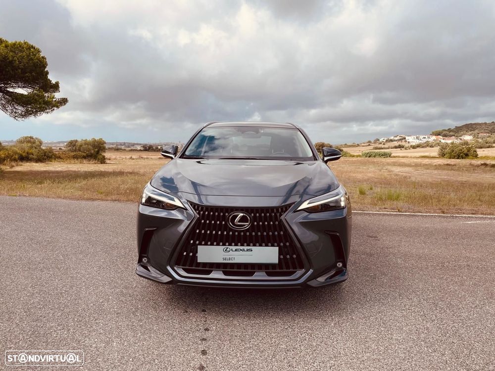 Lexus NX 450h+ Executive - 3