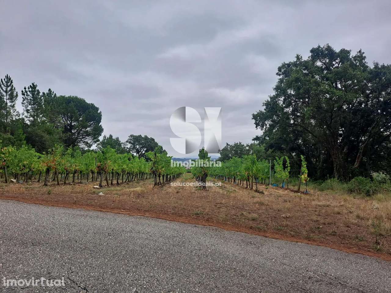 Terreno em Anadia - Grande imagem: 5/23