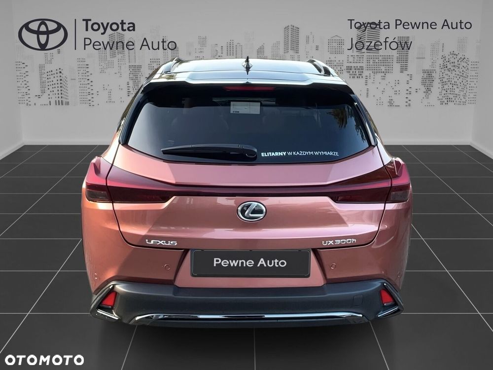 Lexus UX 300h F Sport Design - 7