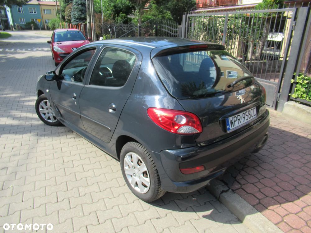 Peugeot 206 plus 60 - 12