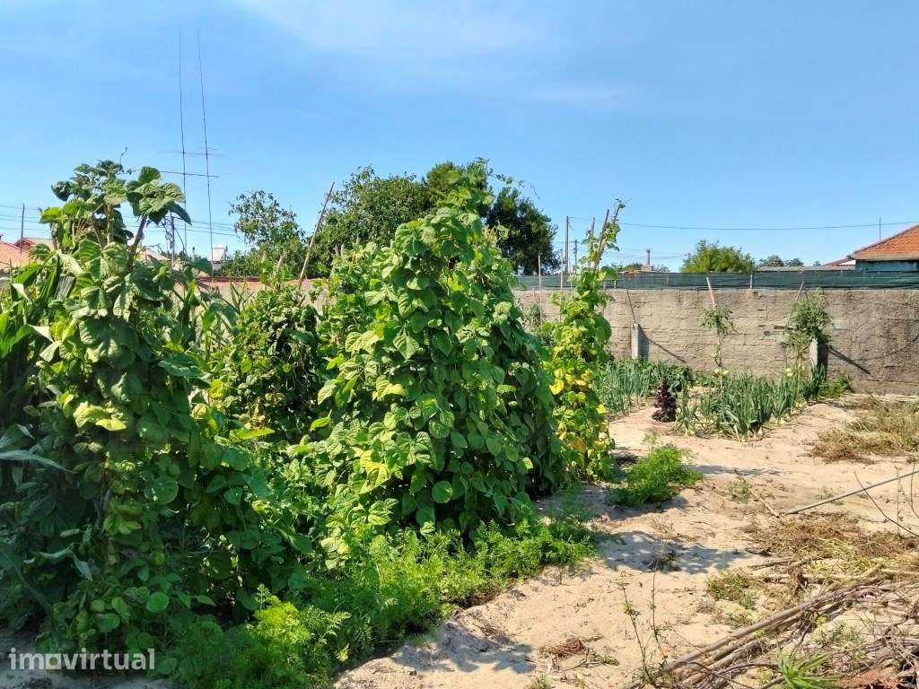 Terreno para construção - Gafanha do Carmo - Grande imagem: 5/12