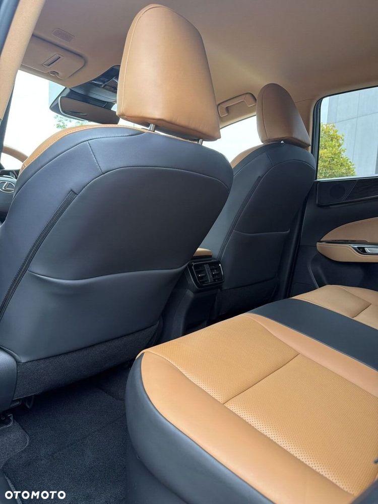 Lexus NX 350h Prestige AWD - 19