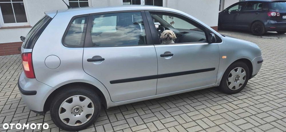 Volkswagen Polo - 2
