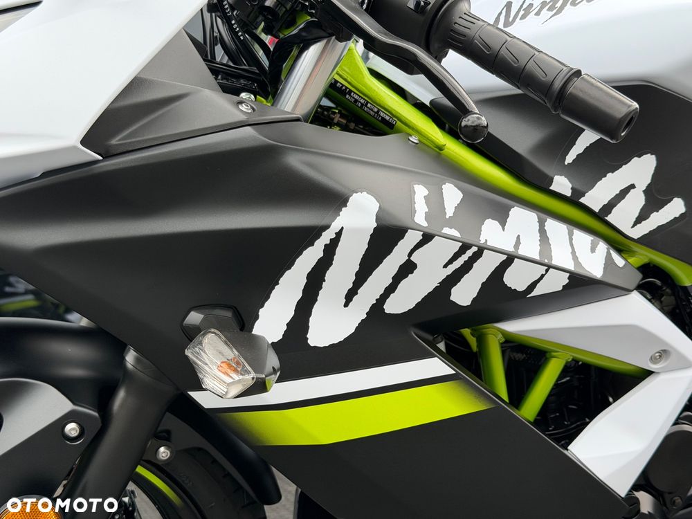 Kawasaki Ninja - 33