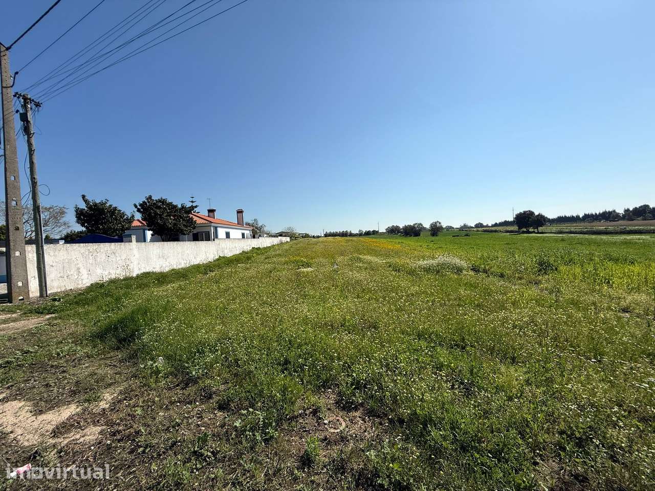 Apresento terreno com área total de 3 880 m2 localizado no Cartaxo - Grande imagem: 3/3