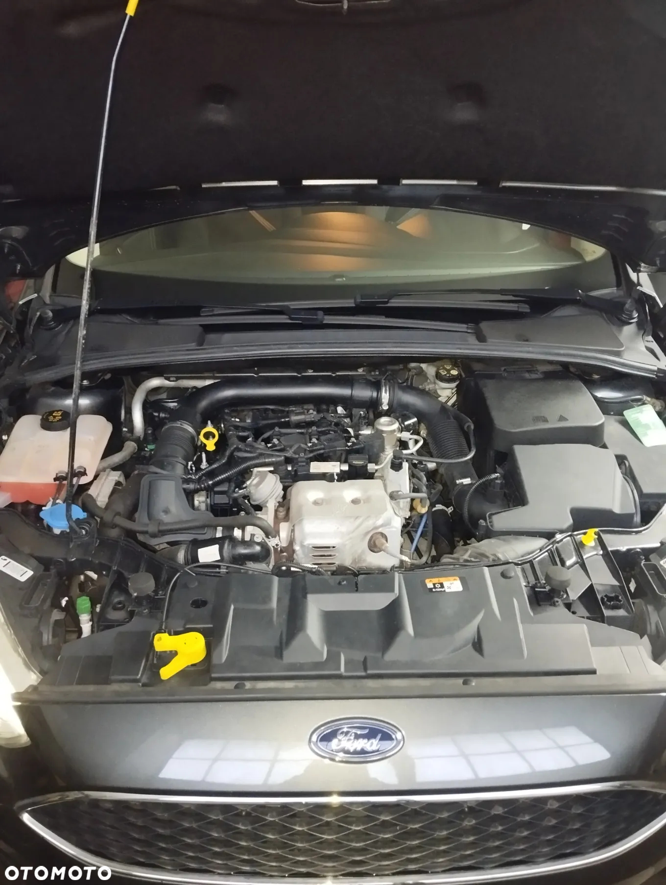 Ford Focus 1.0 EcoBoost Trend ASS - 18
