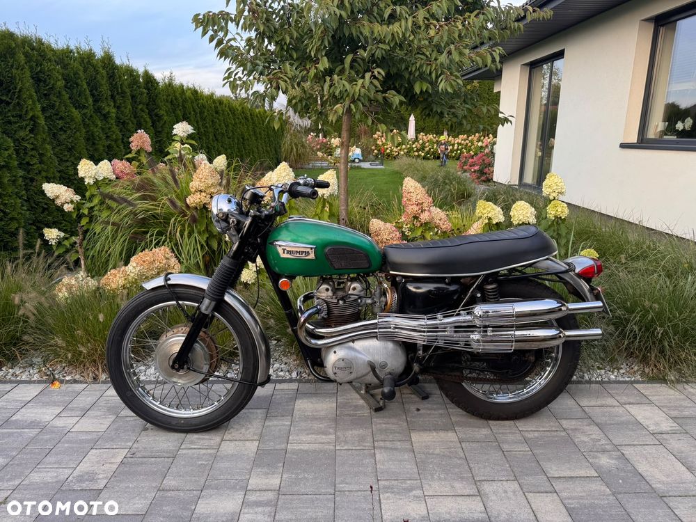 Triumph Trophy - 1
