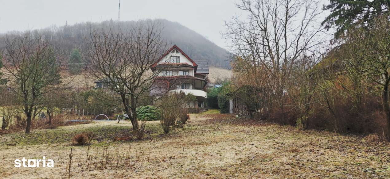 Vila impunatoare cu iesire directa la lac, Somesu Cald - Imagine principală: 3/19