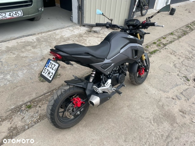 Honda MSX 125 - 6