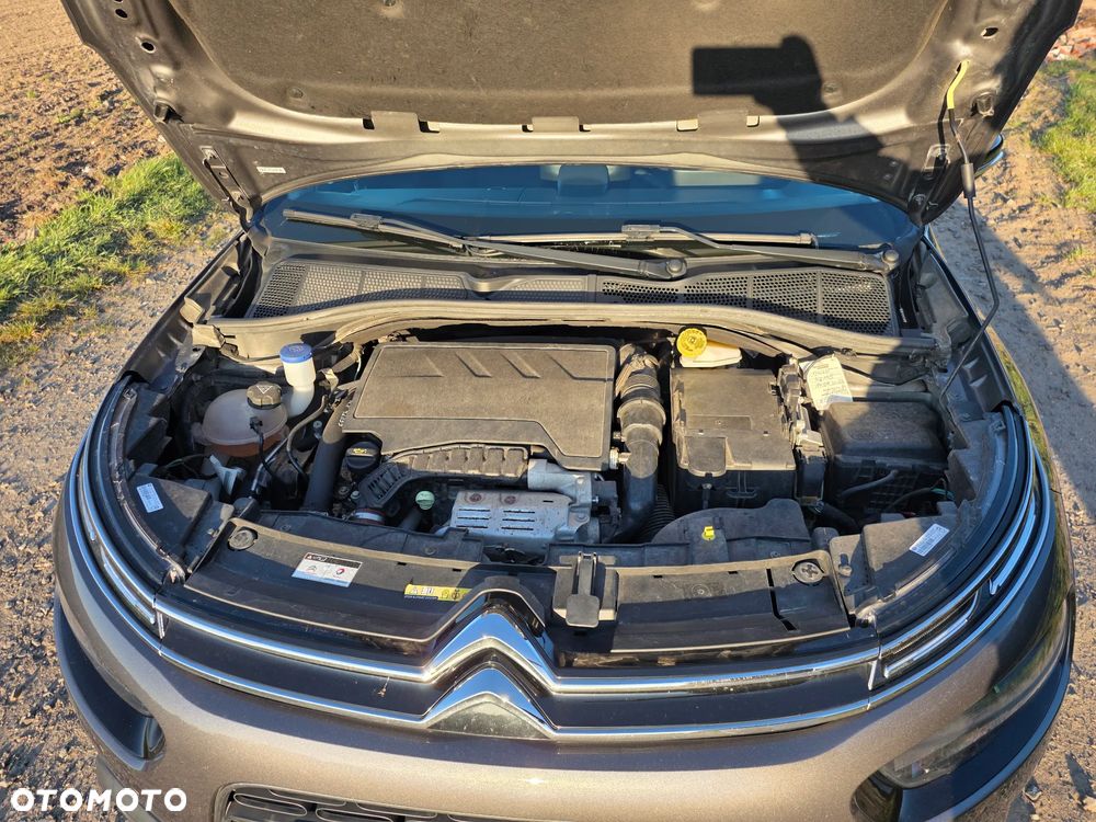 Citroën C4 Cactus - 9