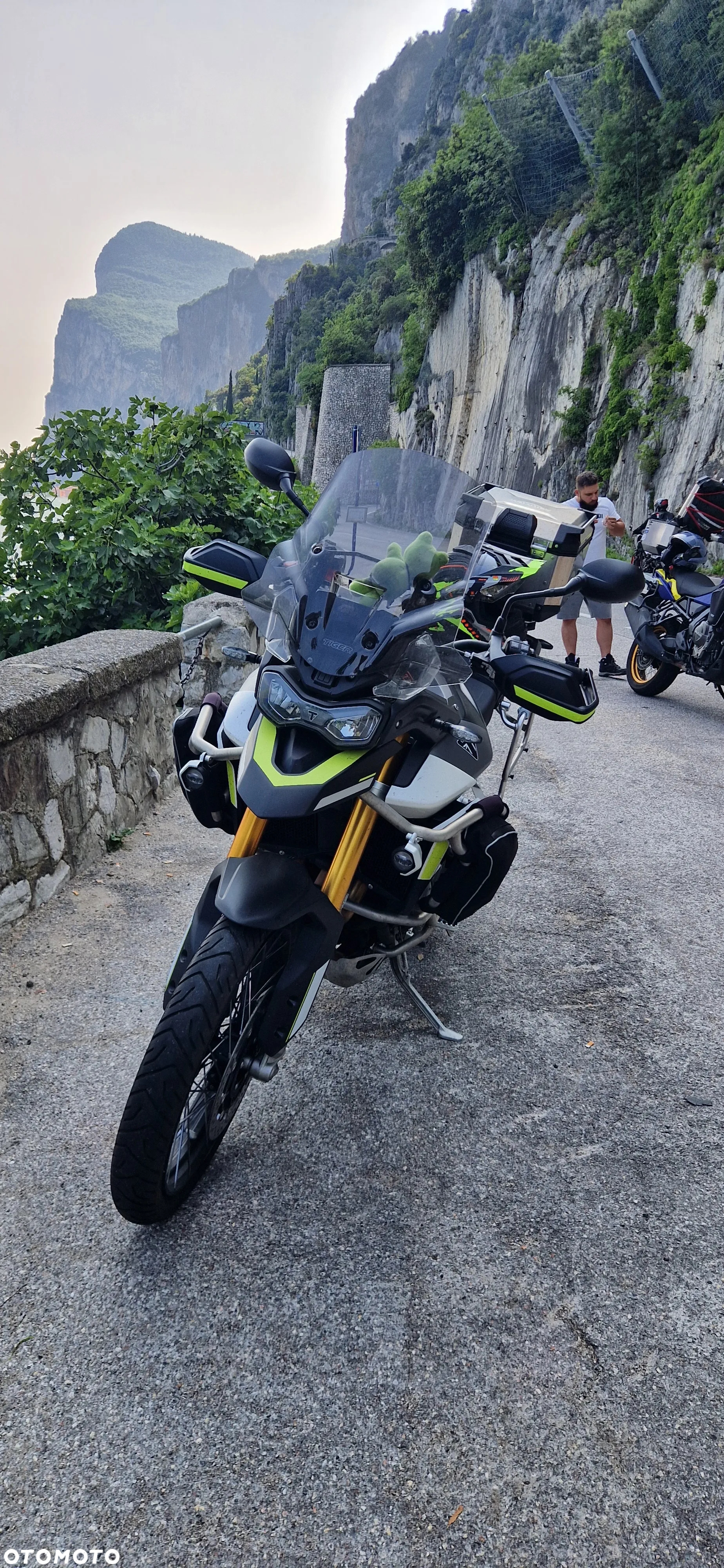Triumph Tiger - 18