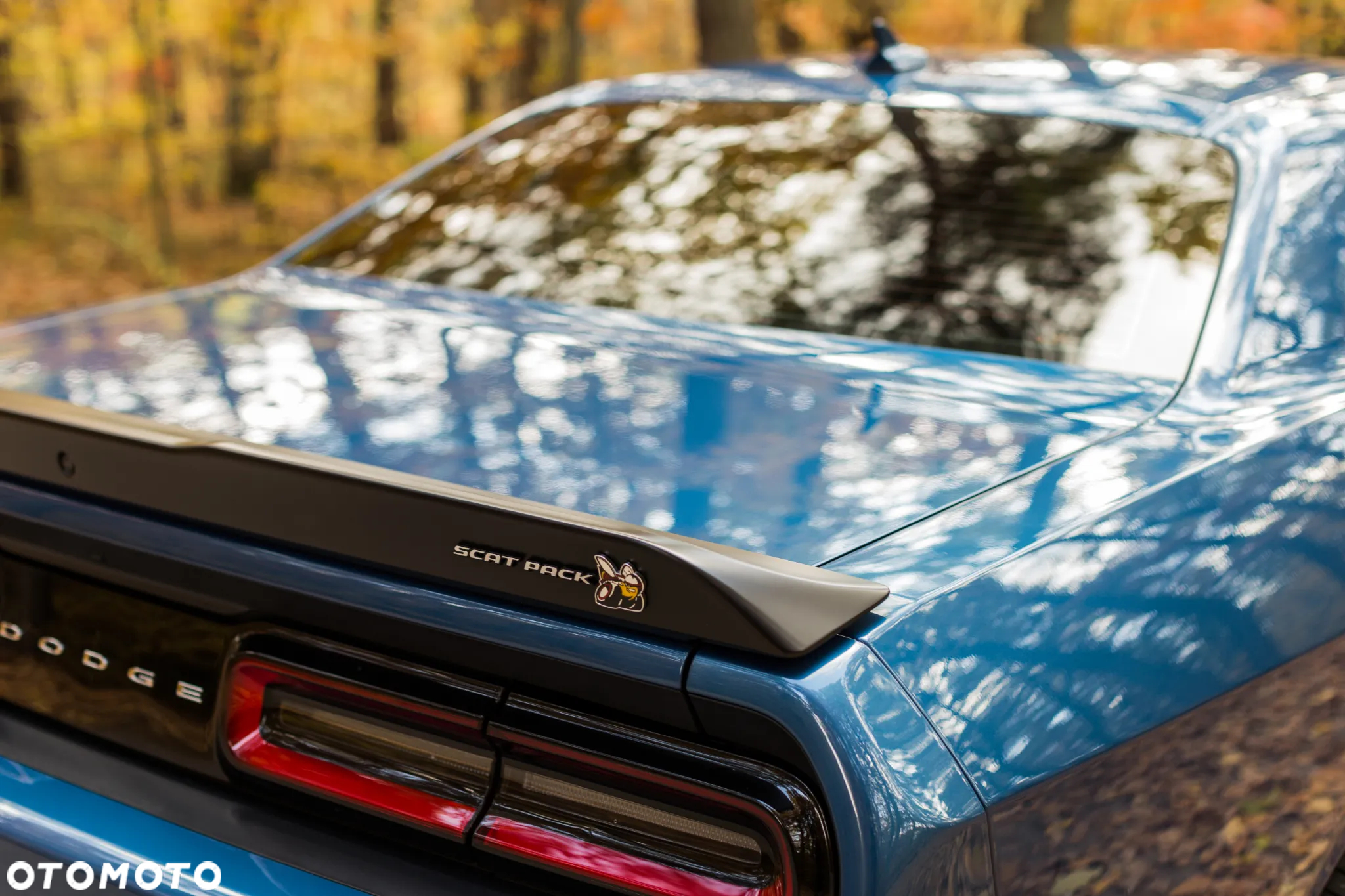Dodge Challenger - 13