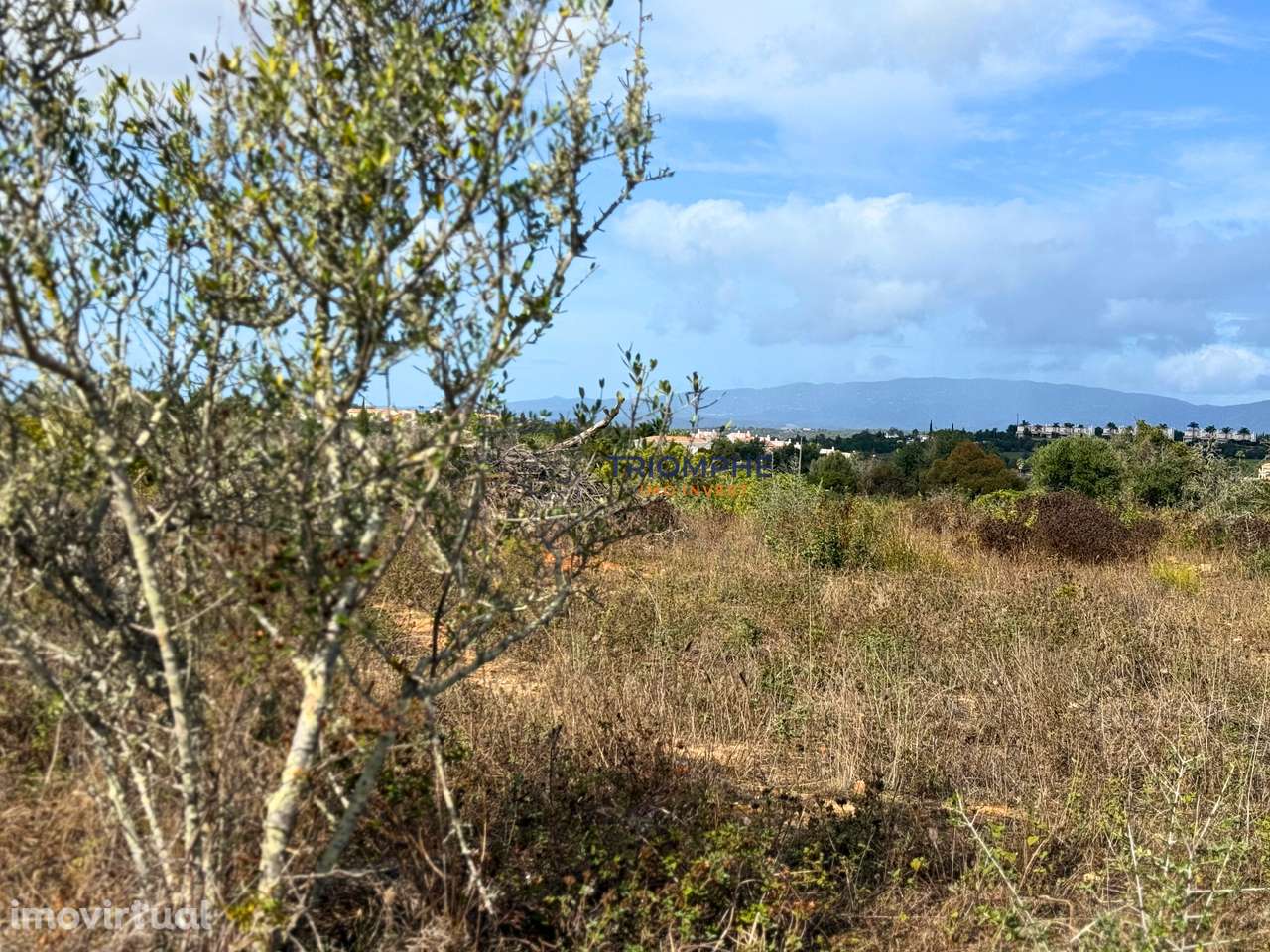 Terreno rústico 15 000 m² Estômbar - Grande imagem: 5/6