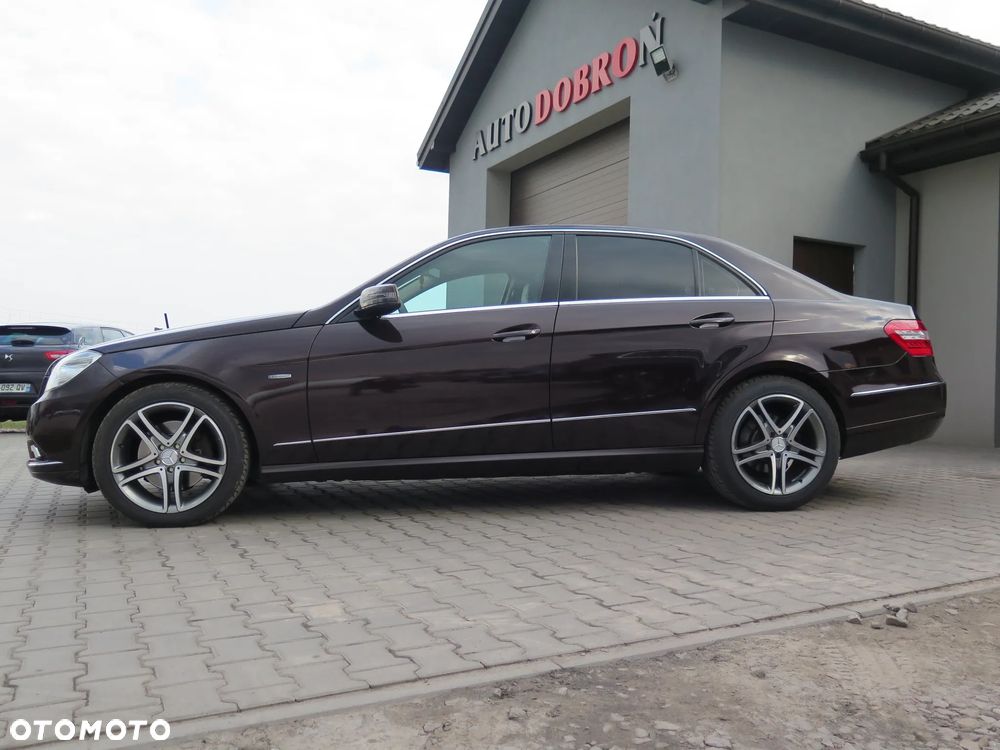 Mercedes-Benz Klasa E 350 CDI BlueEff Elegance - 3