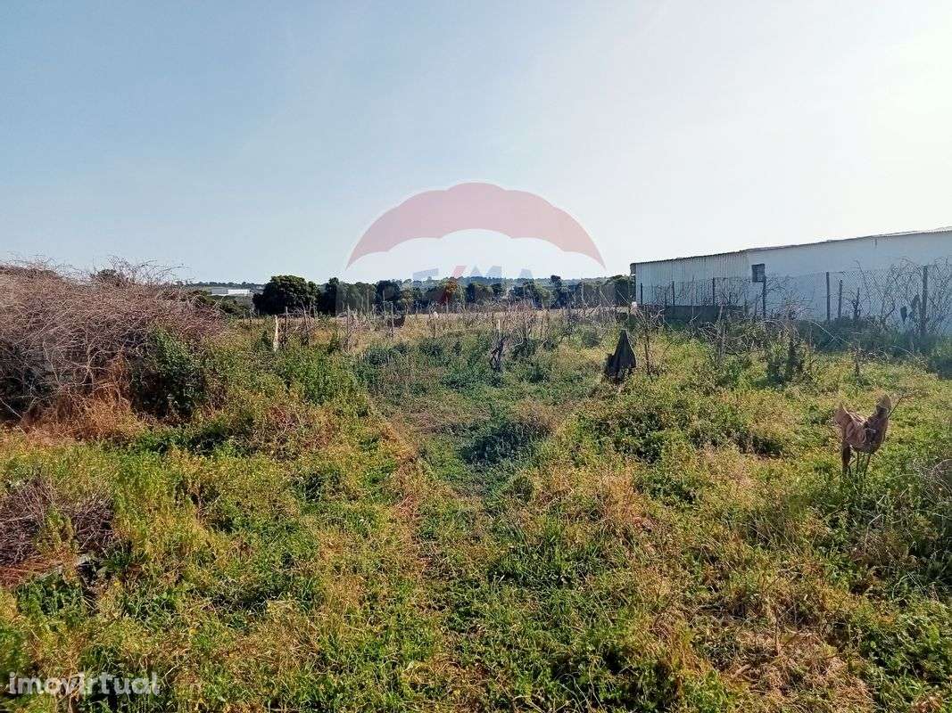 Terreno  para venda - Grande imagem: 5/9