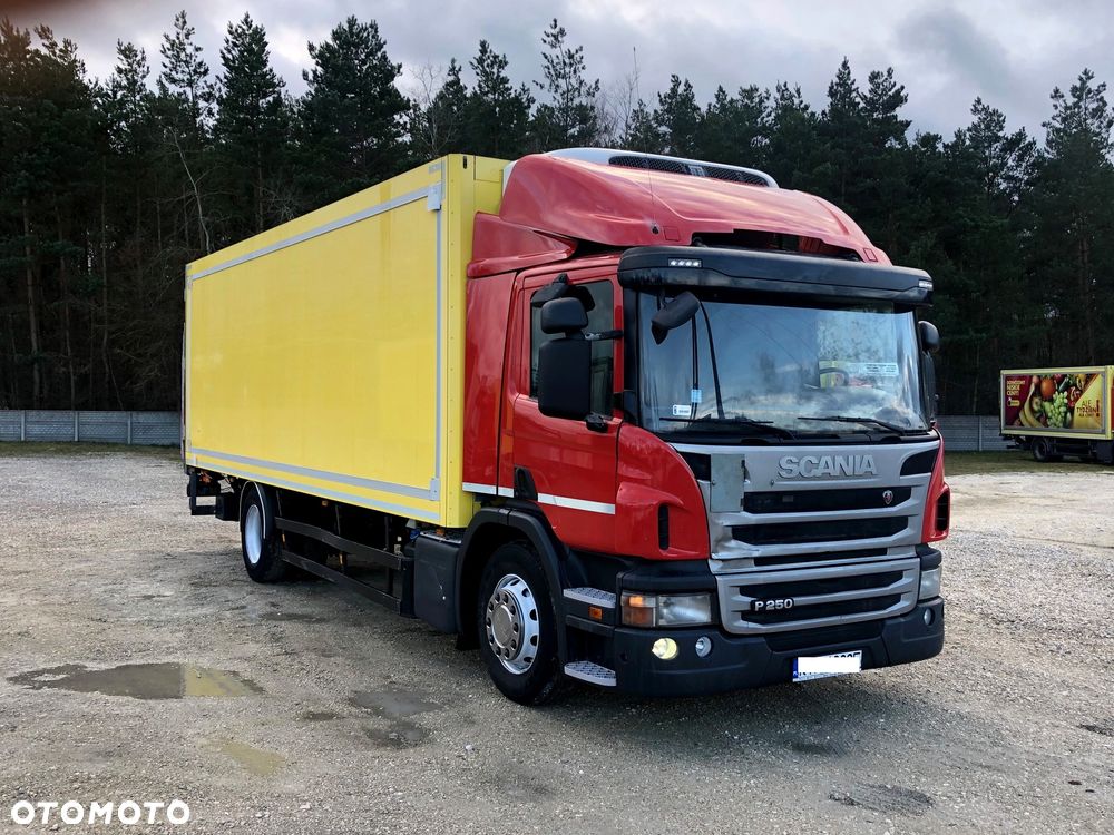 Scania Scanie / Chłodnie / Mroźnie / Salon RP / 15 EUROPALET / WINDA - 17