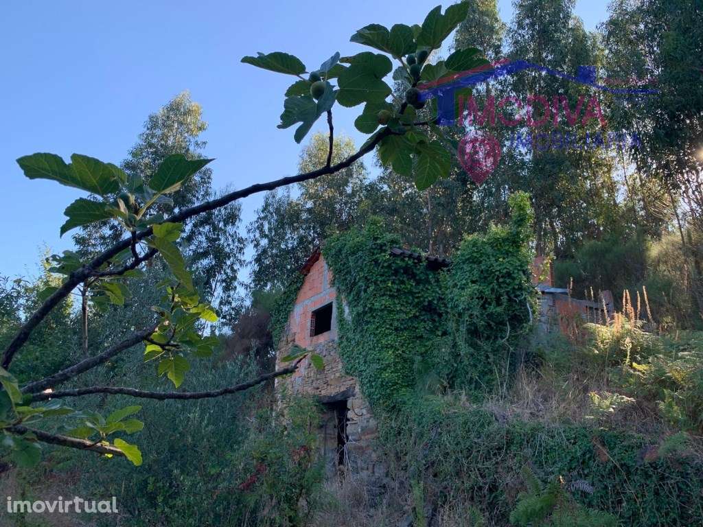 Casa de pedra com terreno de 5000m2 - Grande imagem: 2/16