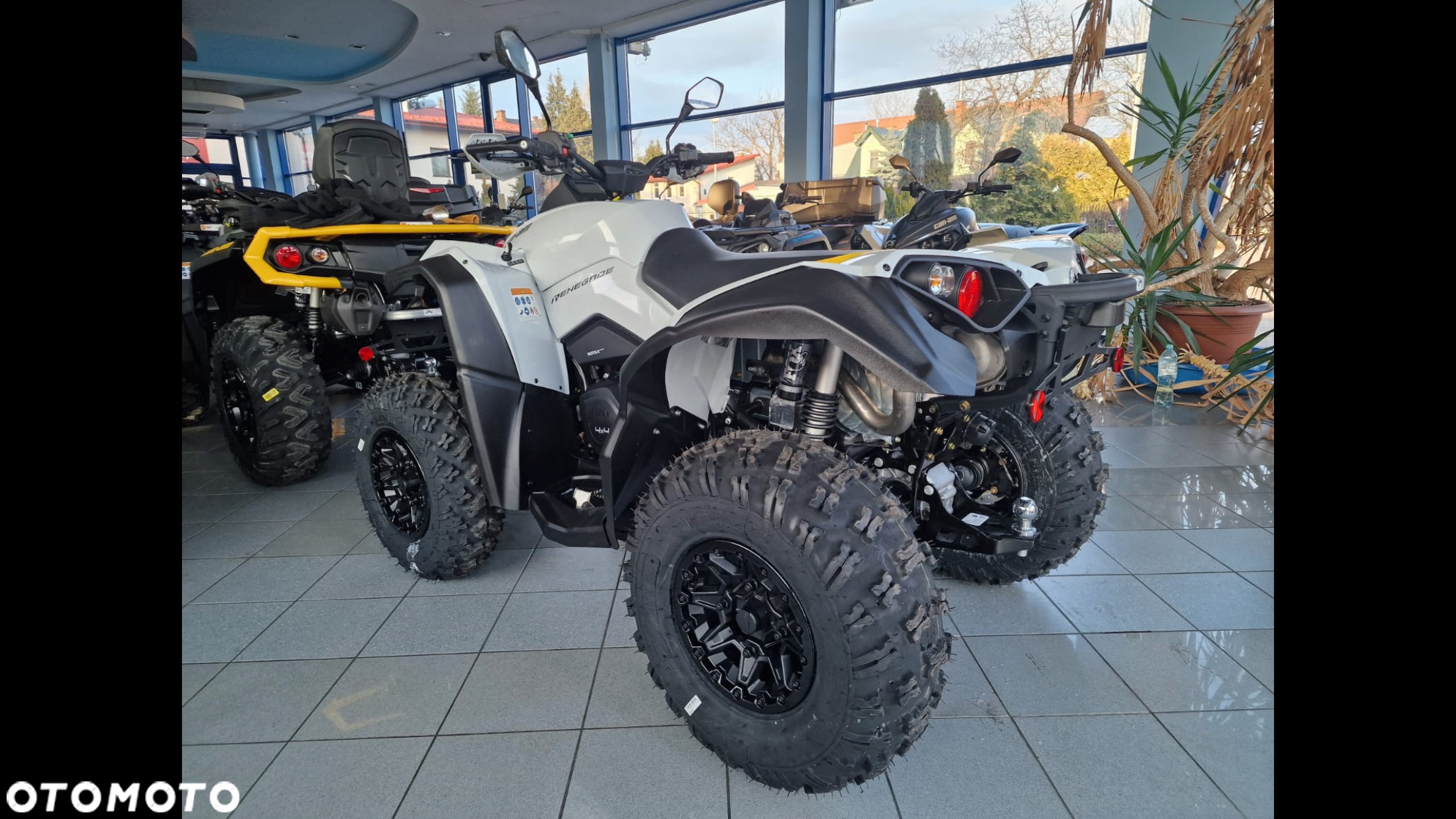 Can-Am Renegade - 3