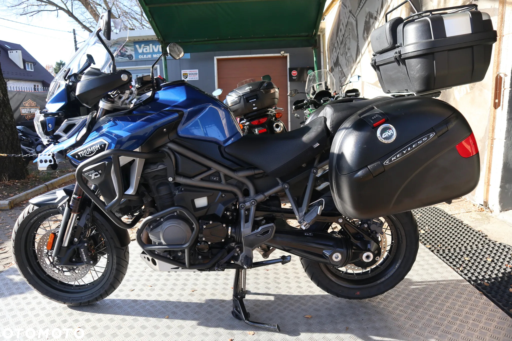 Triumph Tiger - 20