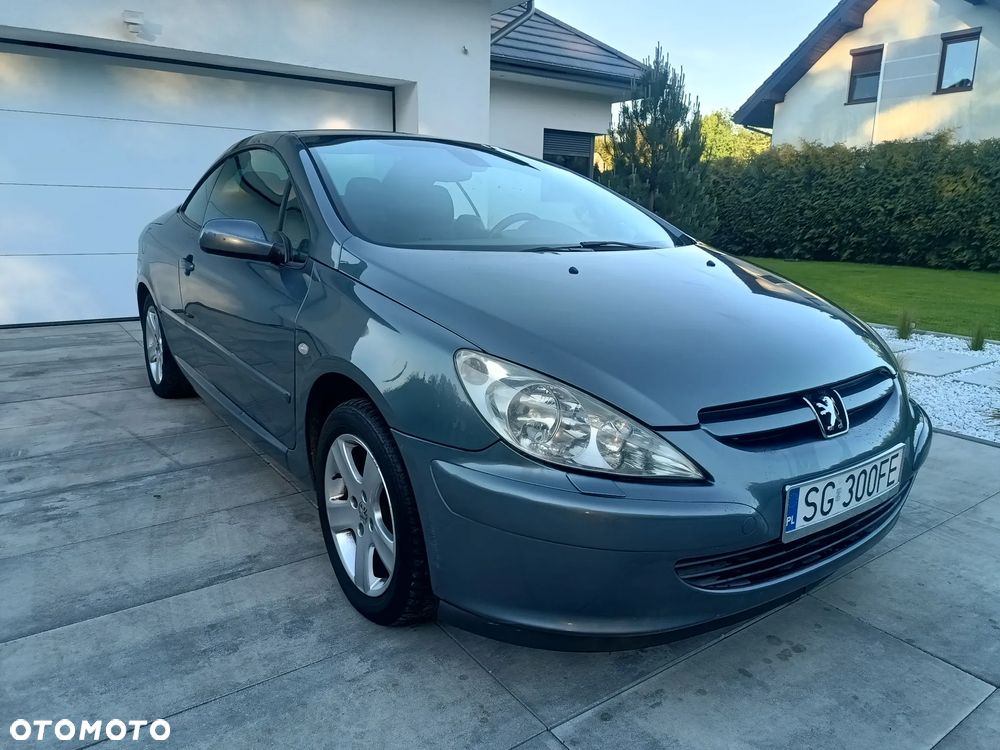 Peugeot 307 - 23