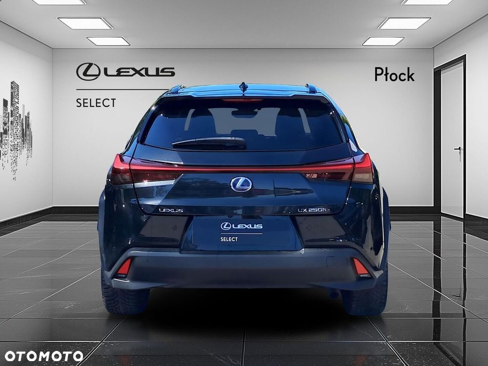 Lexus Ux 2021 photo 4